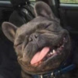 Meet your Posher, Ian